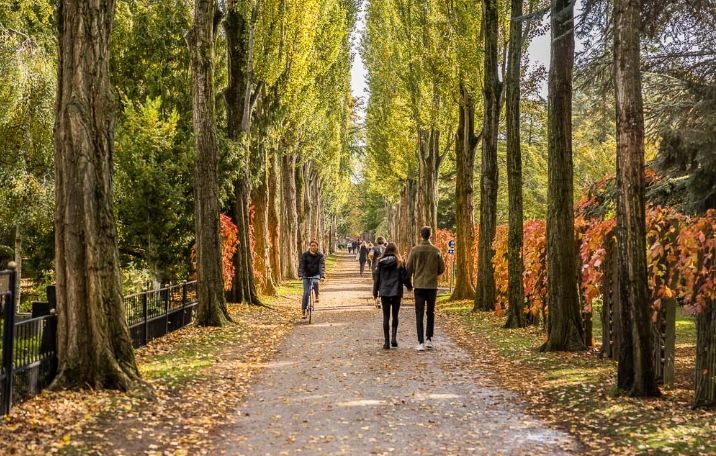 træer med grønne og orangeblade og sti med par der går i asstens kirkegård