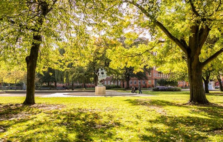 grønt græs og træer med grønne blade og sollys i assistens kirkegård